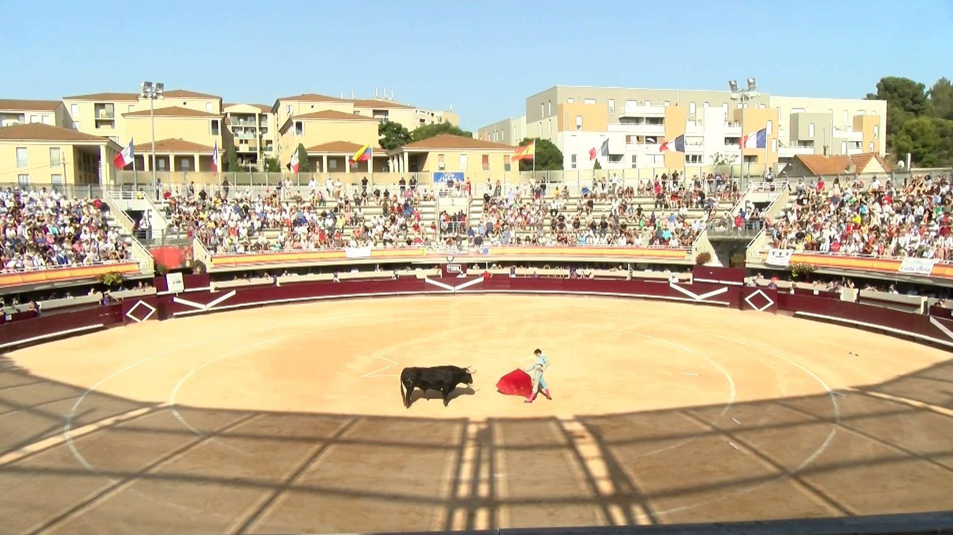 Istres : nouveau marché, "Jeudis de l’étang", Feria... le programme XXL de votre été est tombé !