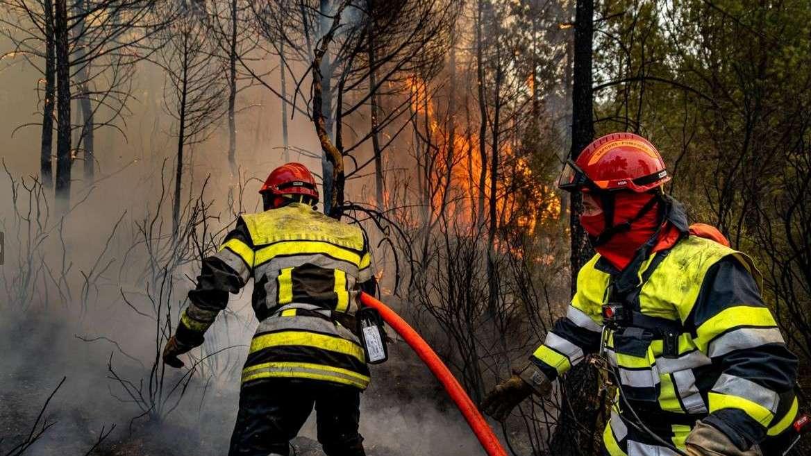 Les feux de forêt extrêmes ont doublé depuis 20 ans dans le monde