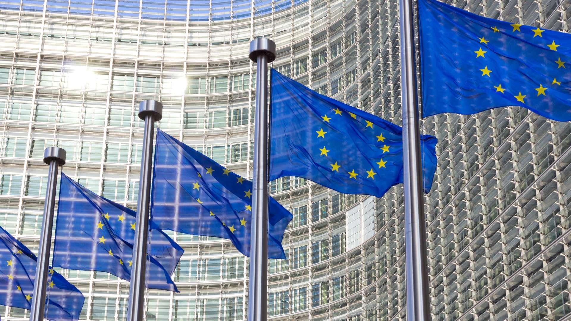 Coup d'arrêt pour le Mercosur : cris de joie des agriculteurs devant le Parlement européen qui a saisi la justice