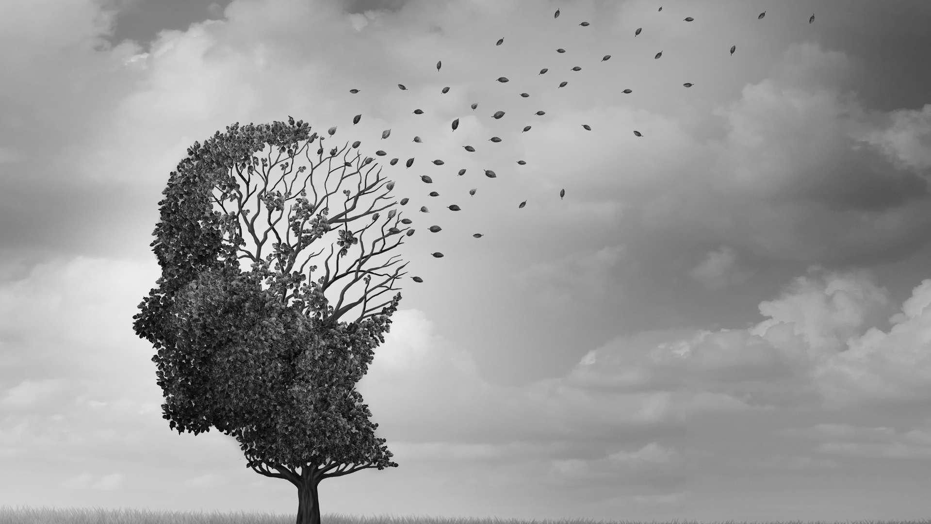 Journée mondiale Alzheimer : 1,4 million de Français seraient atteints de maladies neurodégénératives