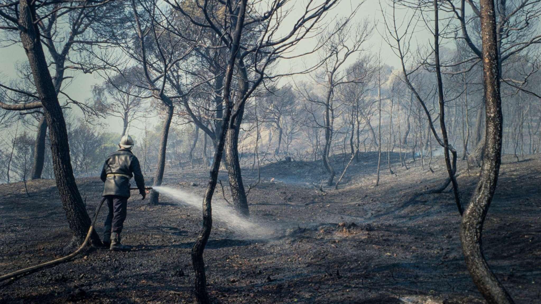 Souvenez-vous : il y a 35 ans, la Sainte-Victoire brûlait