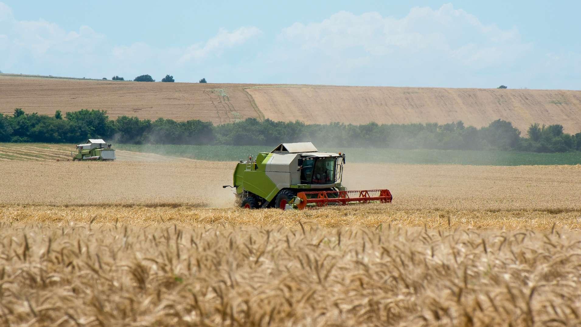 La récolte de blé 2026 estimée en baisse de 4% en France, sous l'effet des canicules 