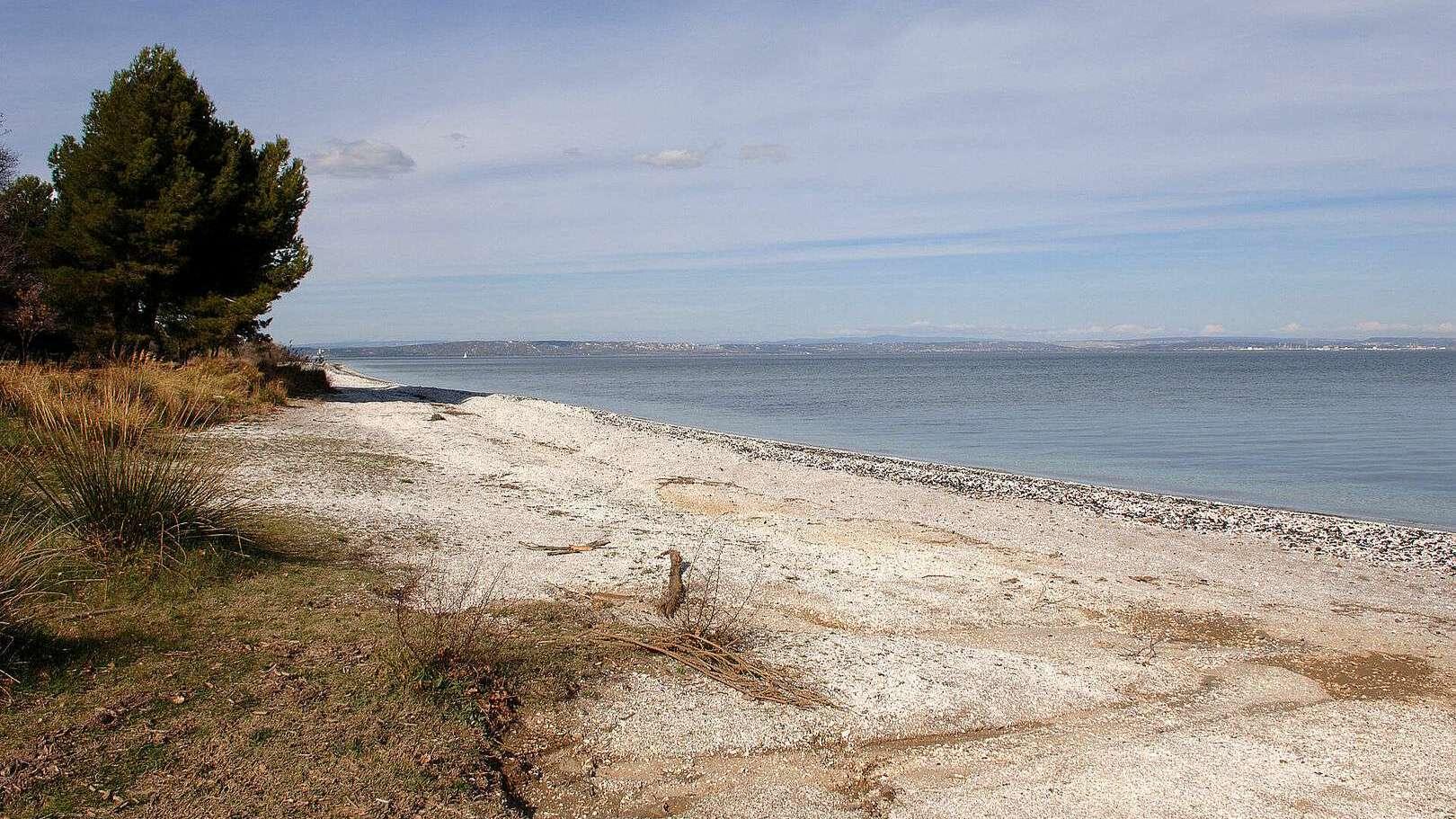 Des restrictions de baignades à Martigues et Istres en raison de la présence d’algues