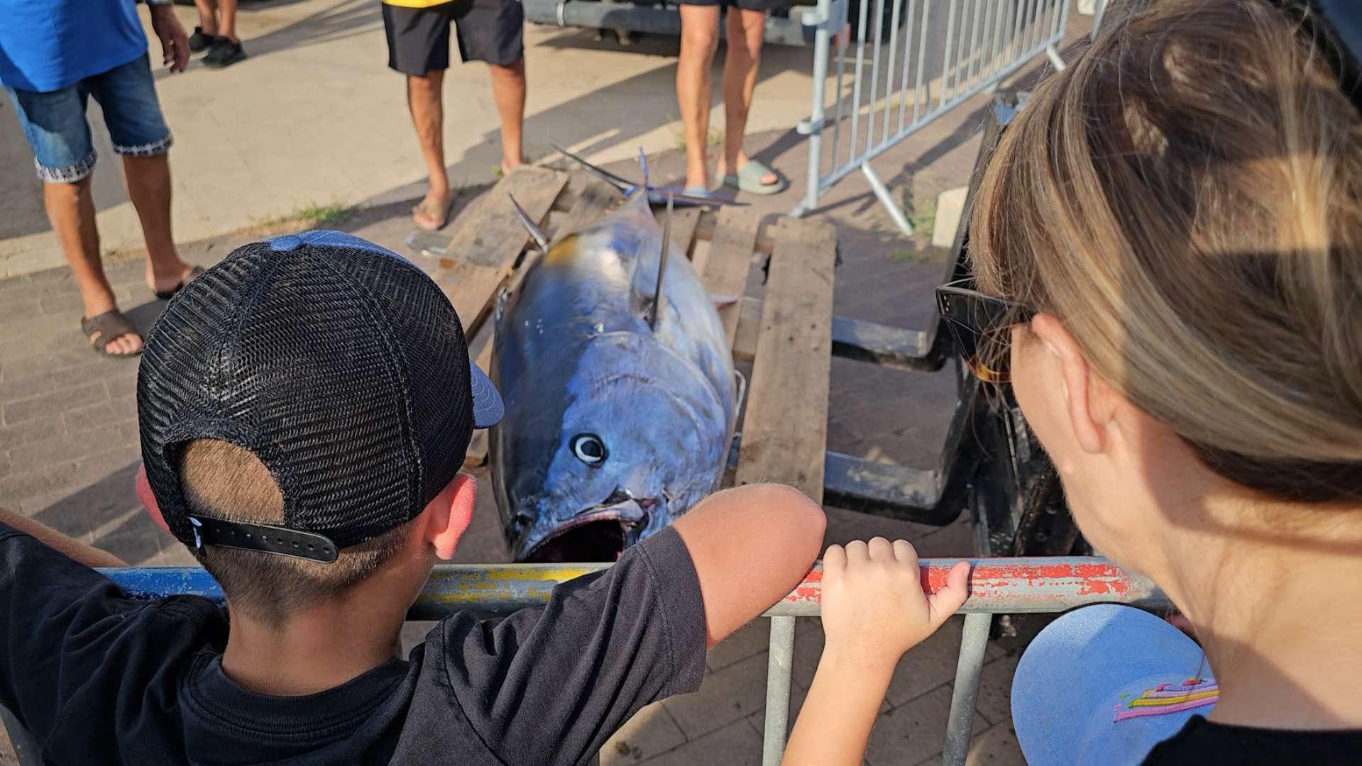 « Quand vous avez la chance de ramener un poisson d'1,80 m ou 2 m, c'est exceptionnel » : la 21e Semaine halieutique démarre à Martigues