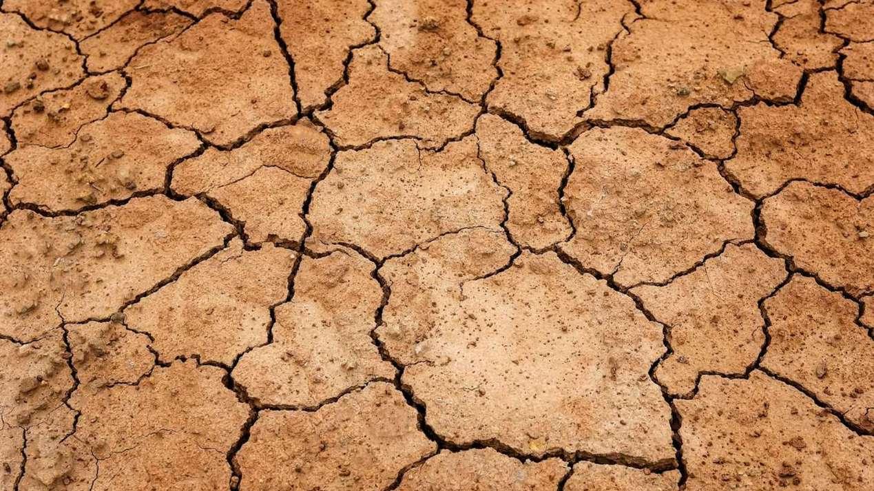 Une sécheresse record en Europe et sur le pourtour méditerranéen