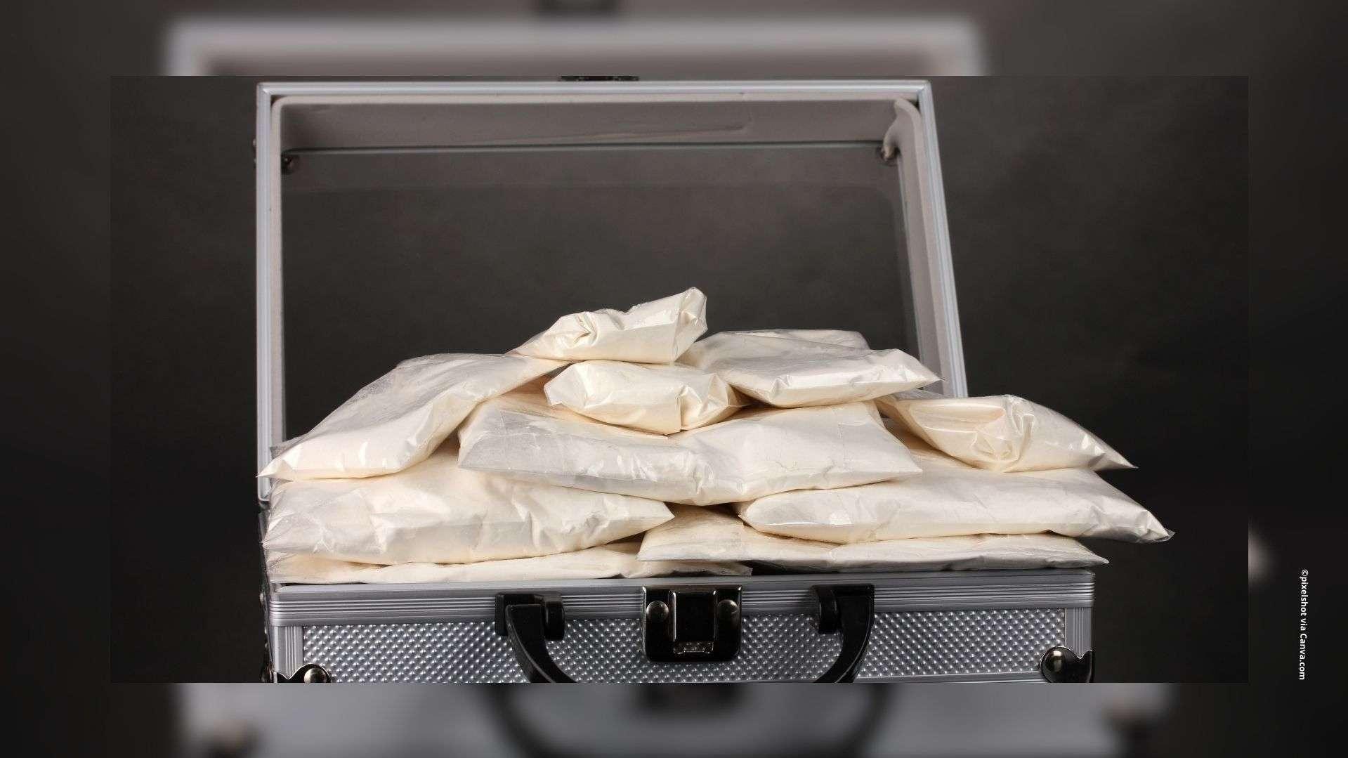 Marseille : près de 10 millions d'euros de cocaïne saisis, un réseau démantelé via le Port