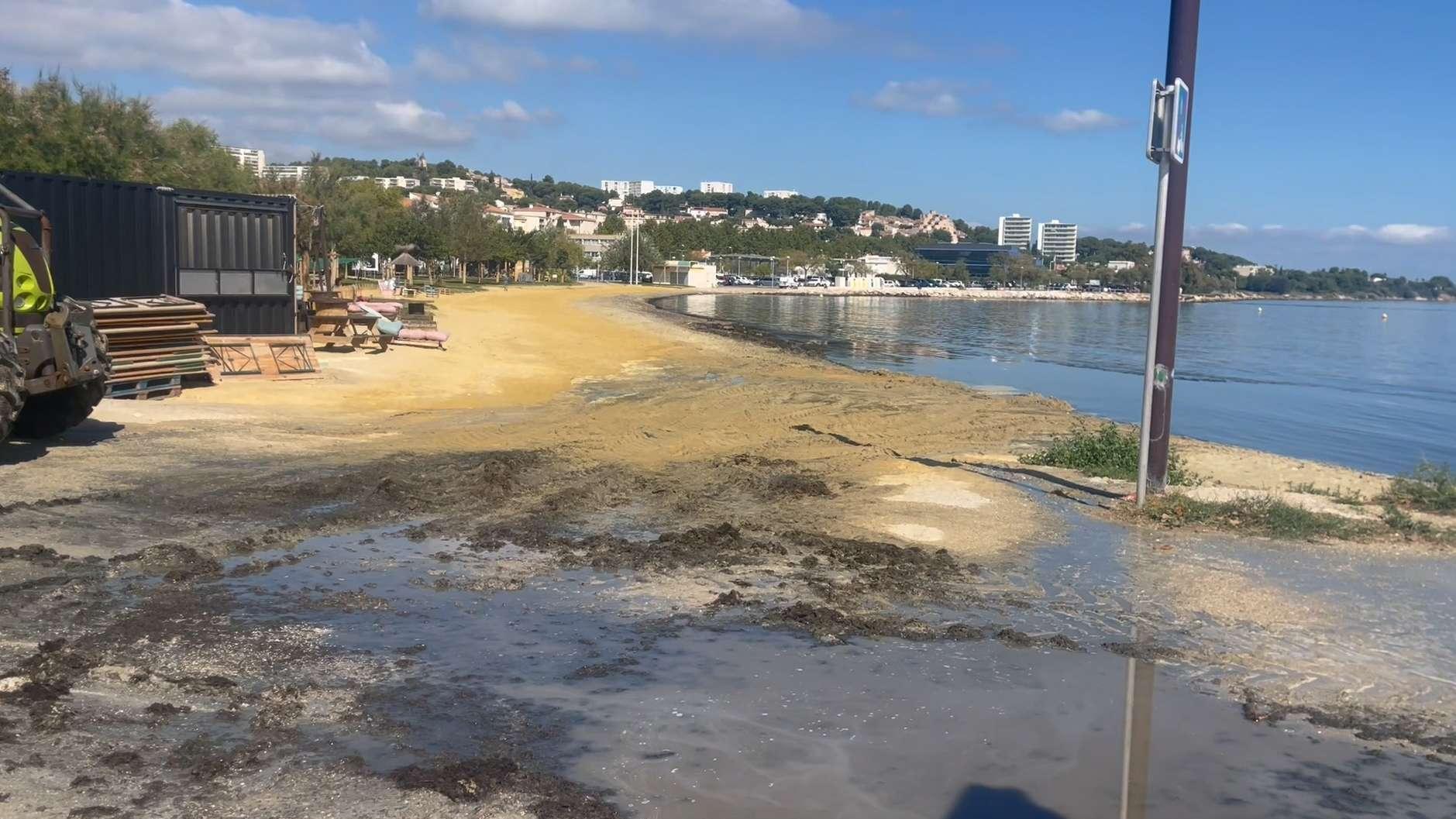 "Ça pue les algues!" Mais quelle est cette odeur sur Martigues ?