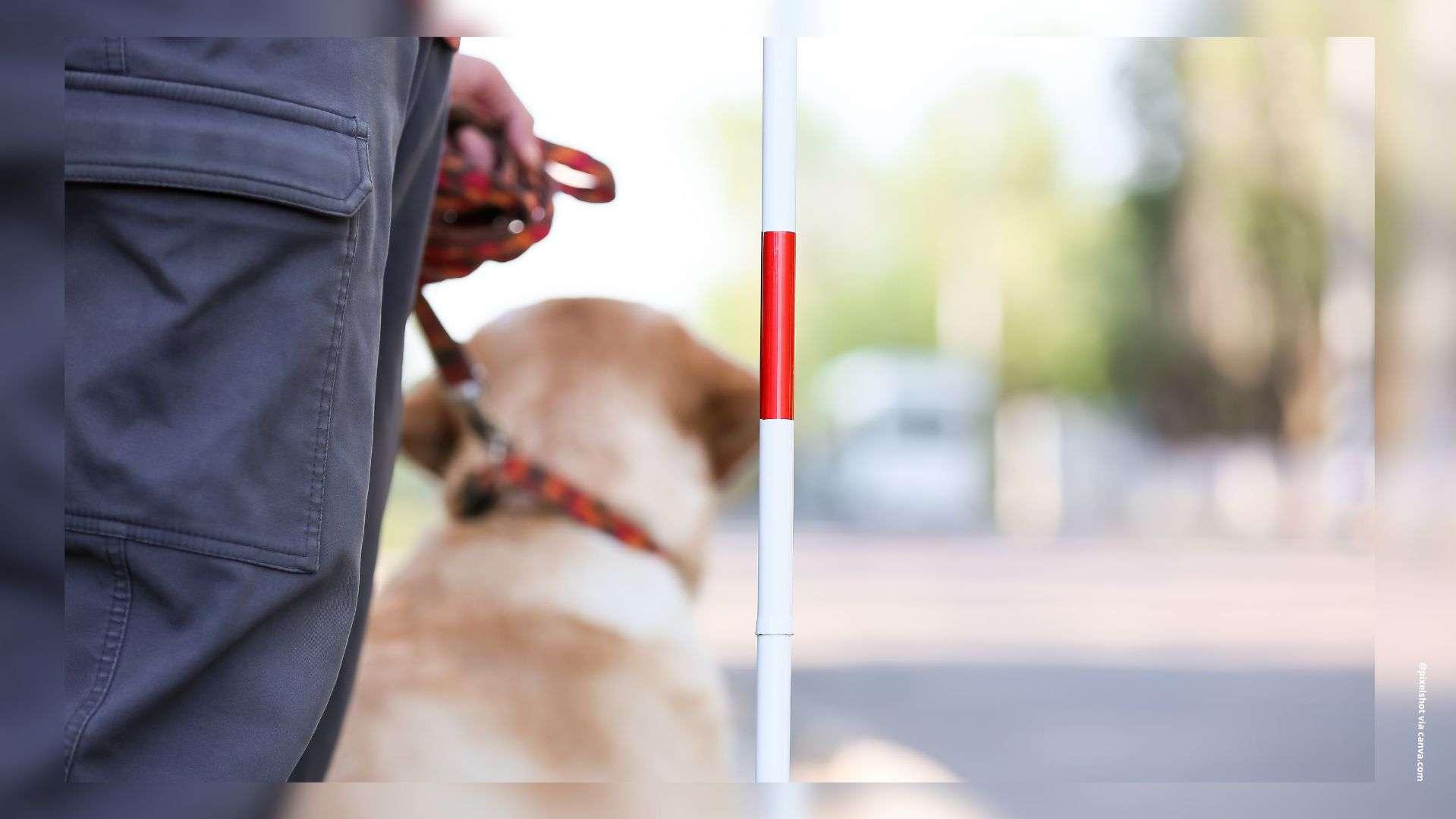 Marseille : délibéré demain dans l'affaire d'un malvoyant expulsé avec son chien d'un Monoprix