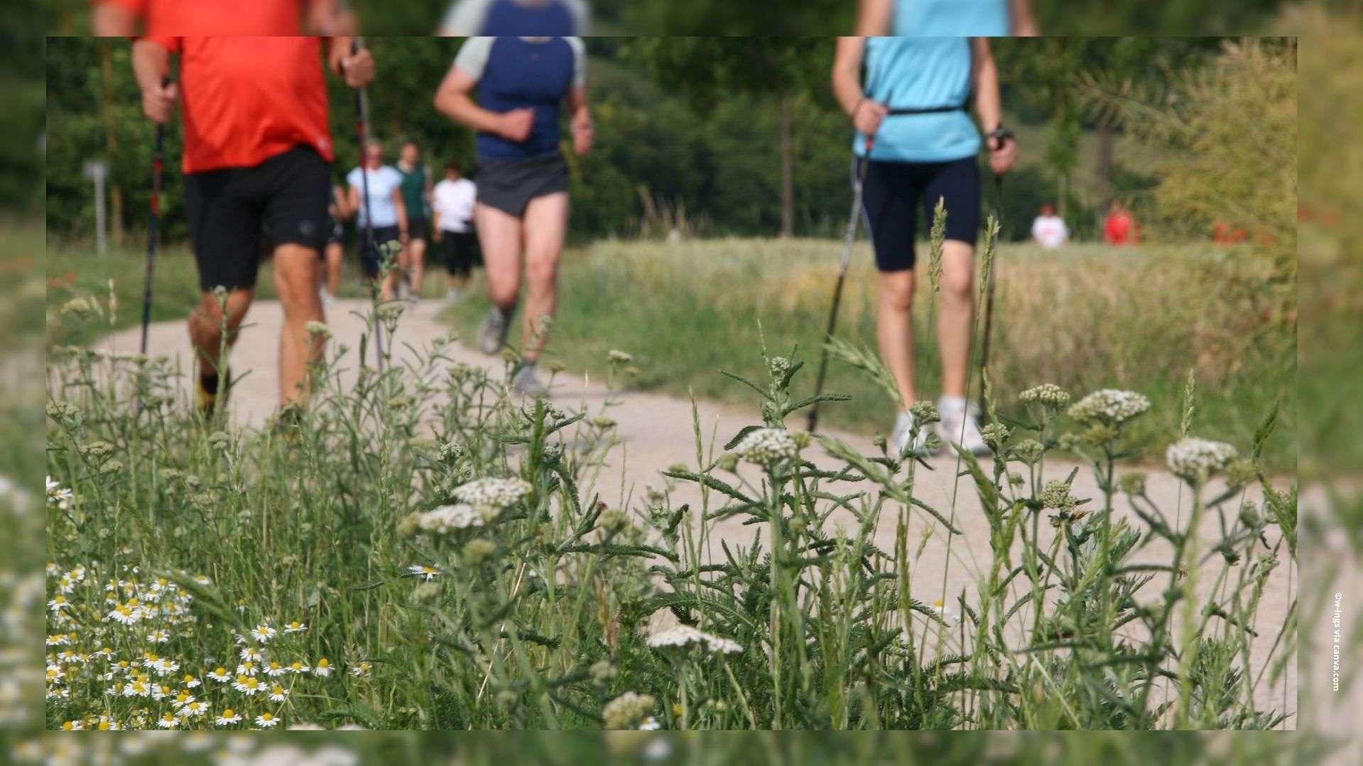 « La Marche en fête » dimanche à Salon-de-Provence