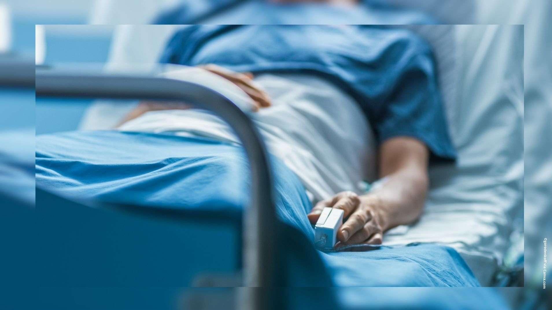 Le virus Shamonda détecté pour la première fois chez un humain, un patient immunodéprimé mort en France (autorités françaises)