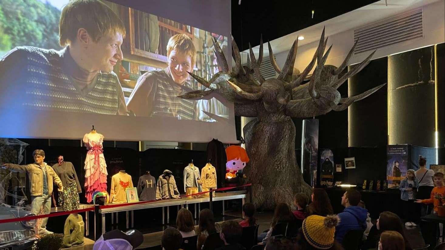 Exposition Harry Potter à Marignane : "Ça plait à tout le monde"