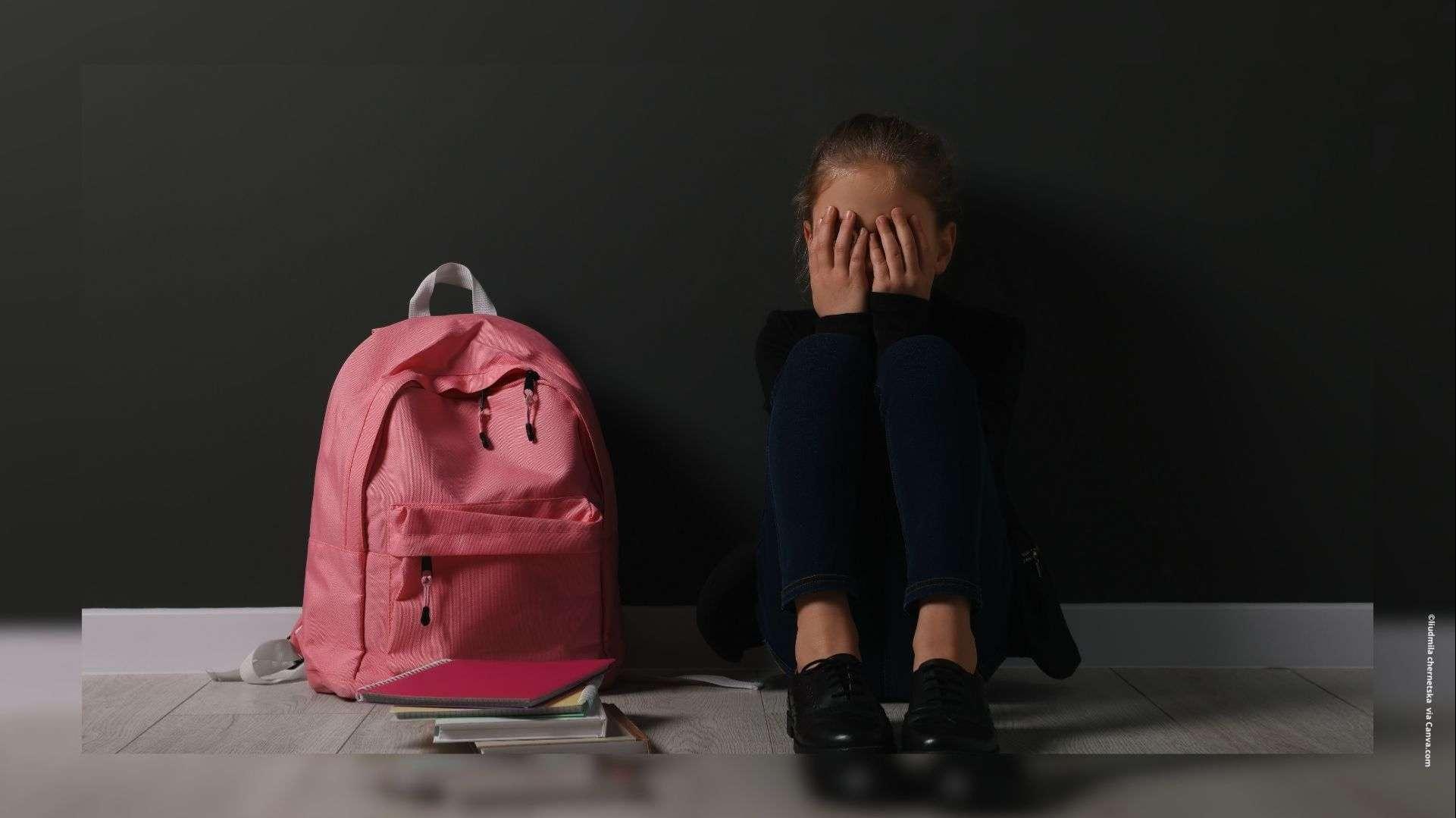 Journée nationale contre le harcèlement scolaire : "C'est une jeunesse brisée"