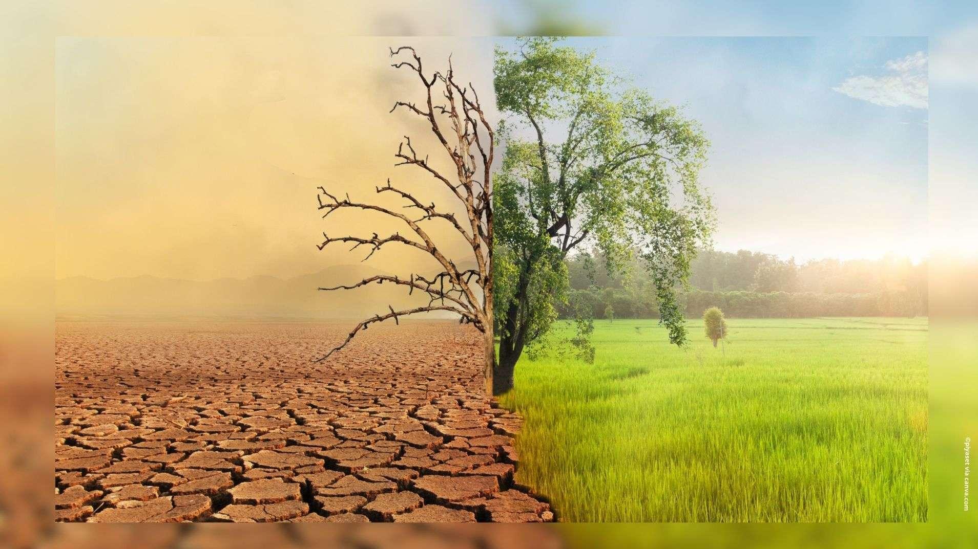 Climat : l'UE arrache un accord sur 2040 avant la COP, au prix d'une série de concessions