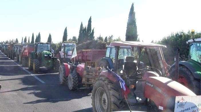 Les agriculteurs se mobilisent ce lundi à Arles contre la ligne THT Jonquières - Fos