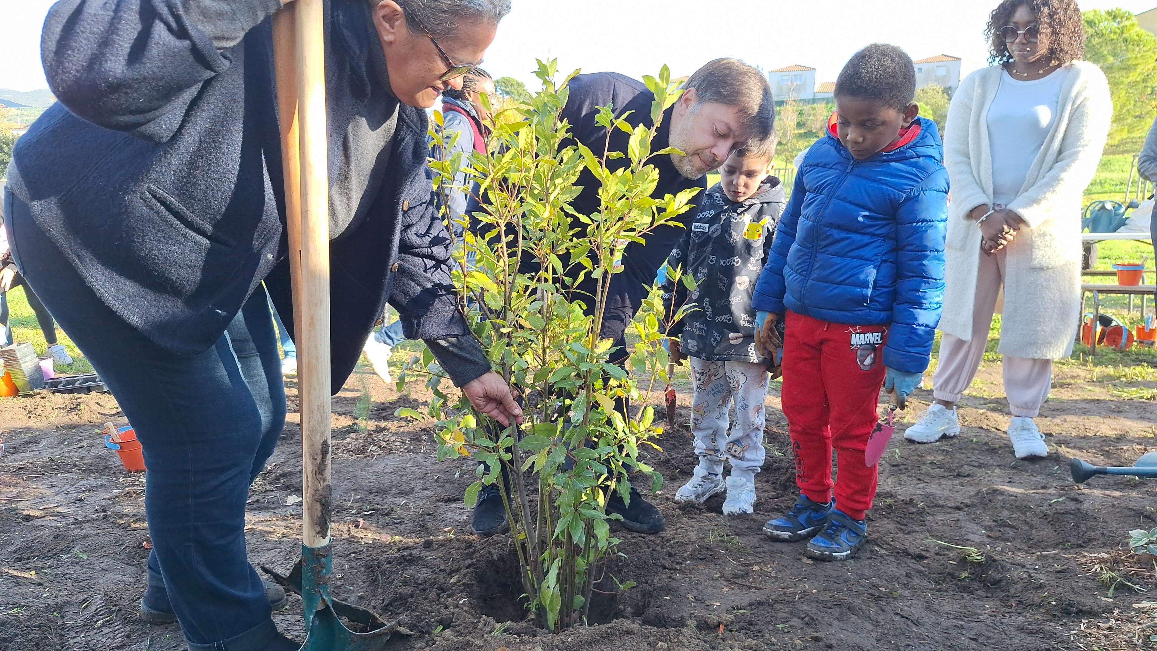 La Ville de Marseille lance l'opération "24h pour planter"