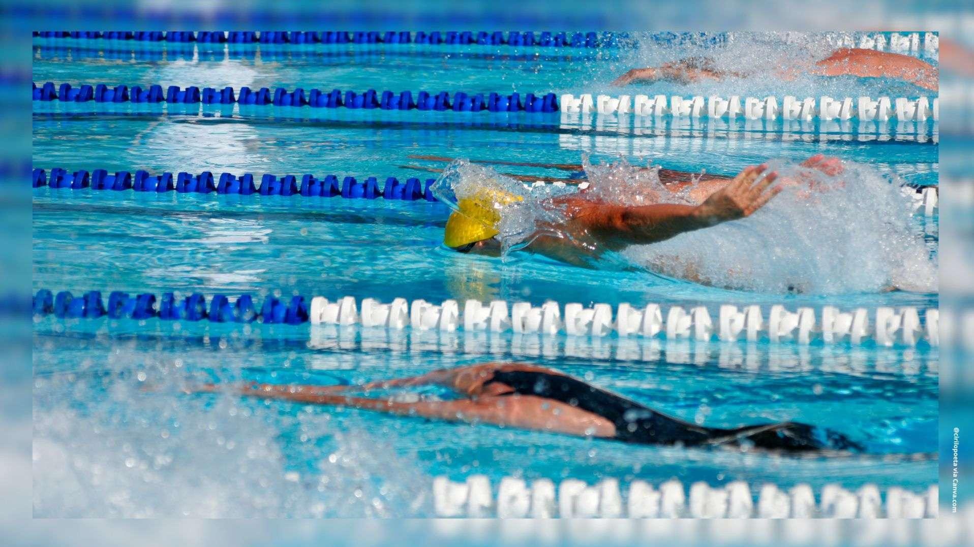 Istres : Le "gratin de la natation" régionale attendu au stade nautique pour les Interclubs