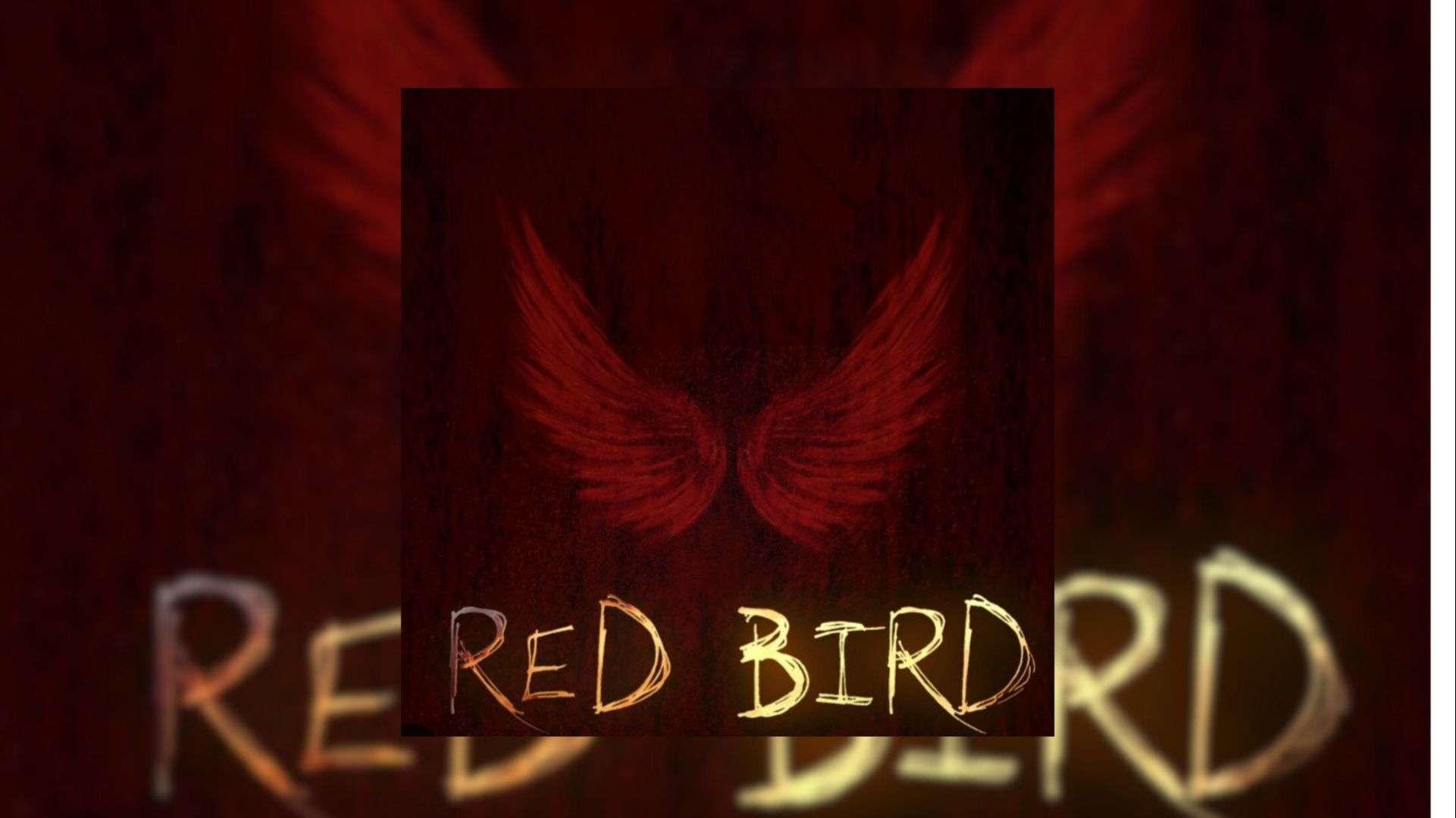 "J'aime procurer des émotions aux spectateurs" : le réalisateur Alexandre Laugier tourne "Red Bird" à Marseille