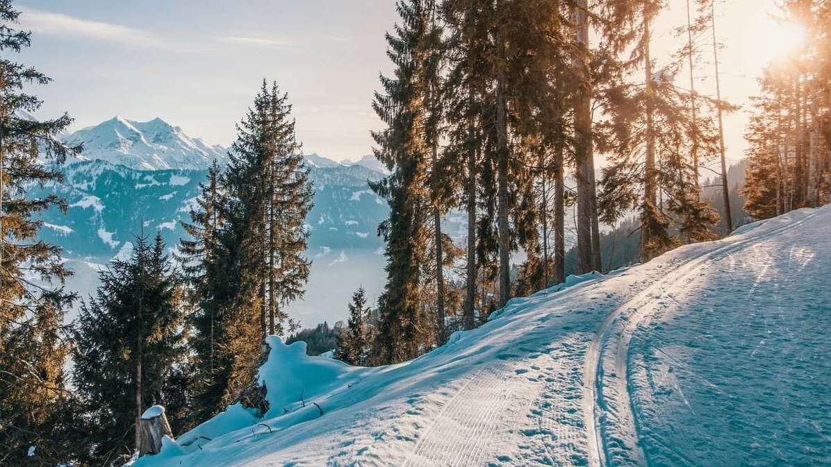 Un skieur décède après une collision sur une piste dans les Alpes-de-Haute-Provence