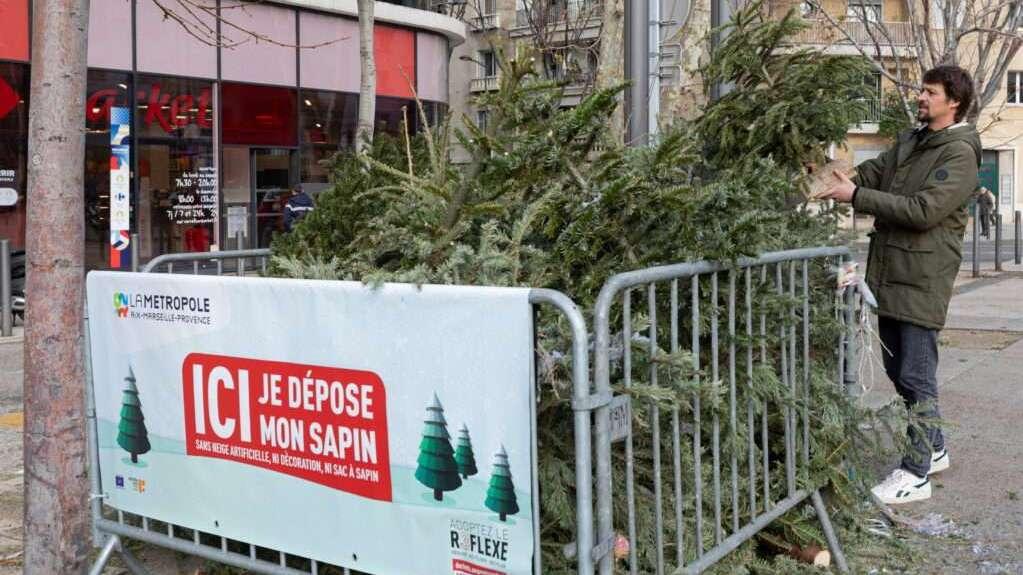 Recyclage : où jeter son sapin après les fêtes ?