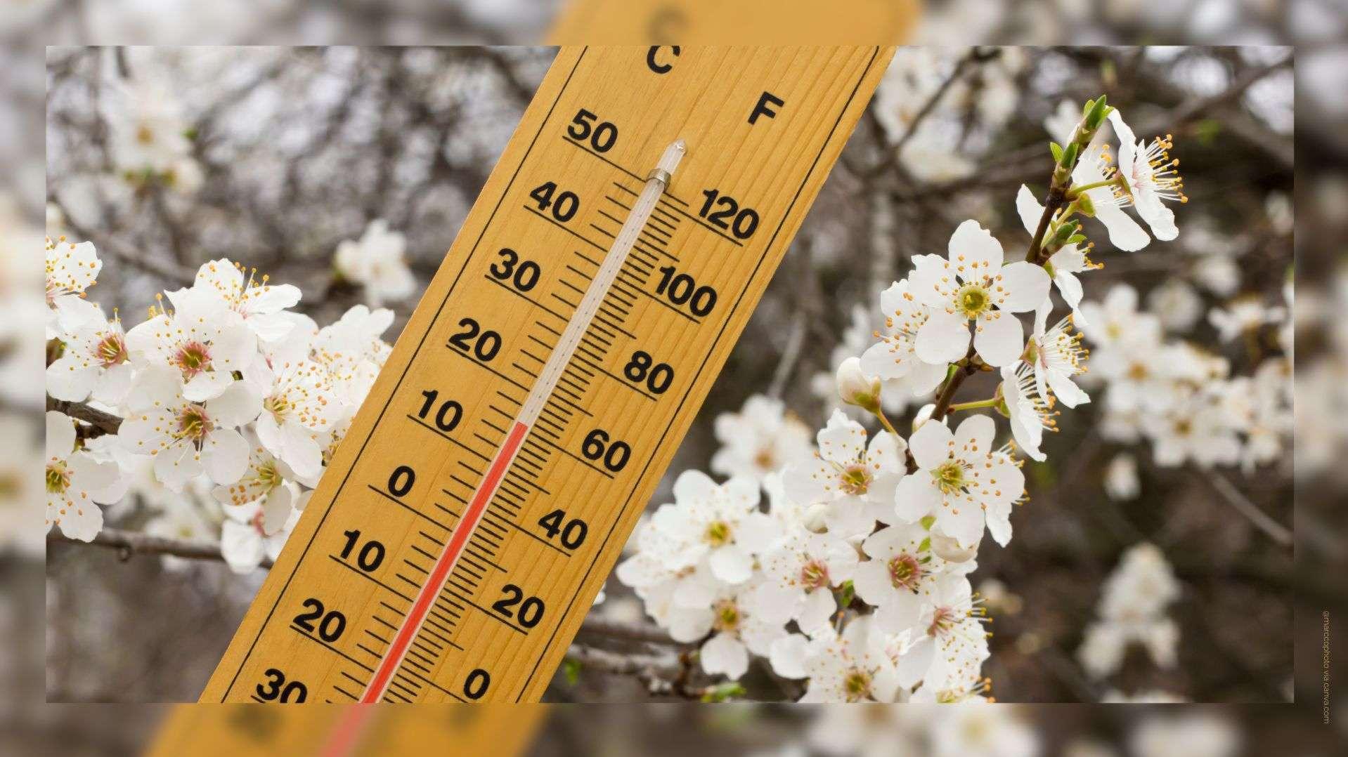 Jusqu'à 19° dans les Bouches-du-Rhône ! C'est le printemps avant l'heure cet après-midi