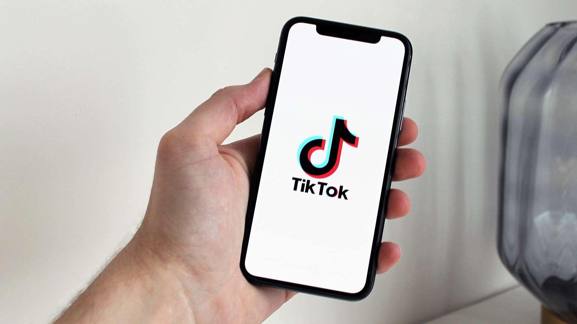 La commission parlementaire sur TikTok préconise l'interdiction des réseaux sociaux aux moins de 15 ans