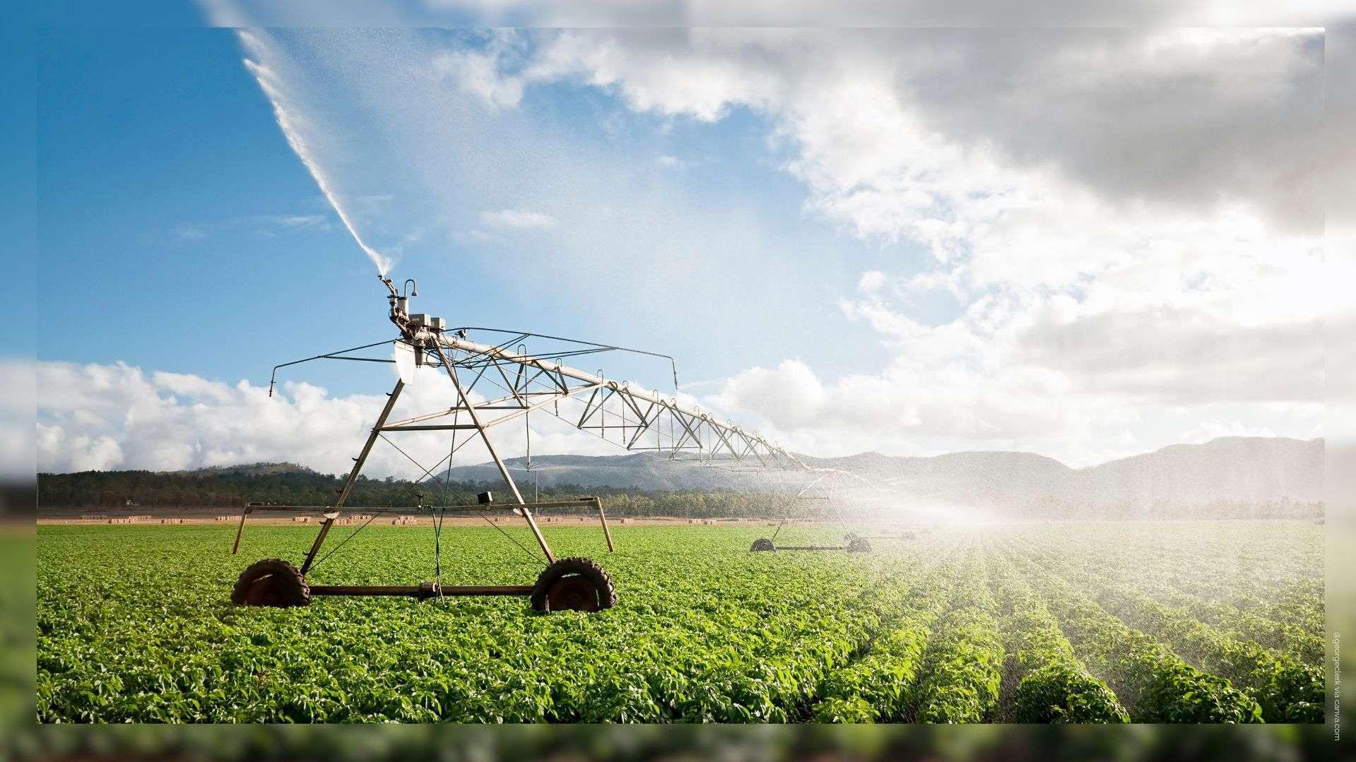 Financement de l'eau : la ministre de la Transition écologique veut rouvrir les discussions avec le monde agricole