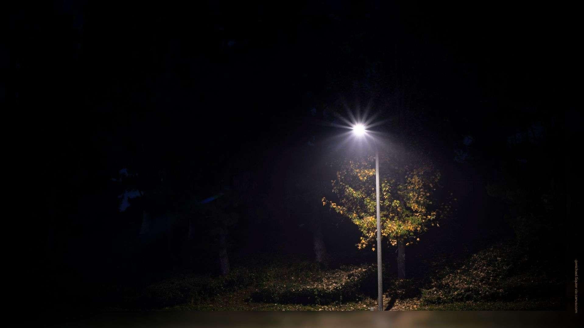 Vol de câbles en cuivre à Martigues : le parc Julien Olive de nouveau plongé dans le noir 