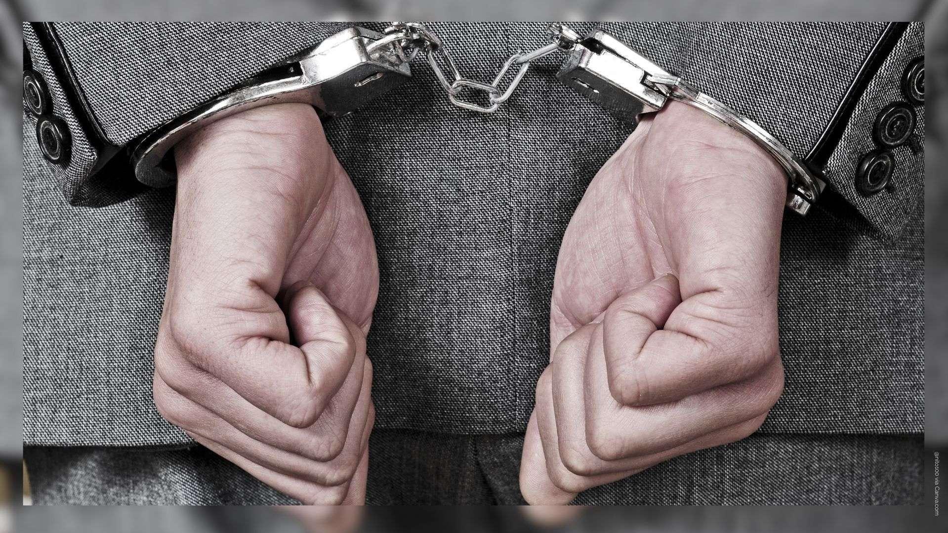 Têtes de cochons devant des mosquées en France : 11 arrestations en Serbie