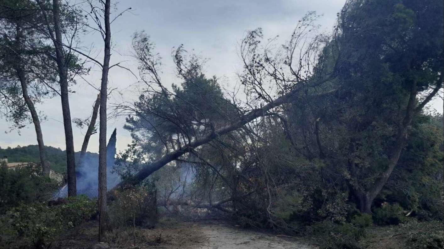 Vent fort : chutes de lignes électriques, départs de feu et foyers privés de courant dans les Bouches-du-Rhône