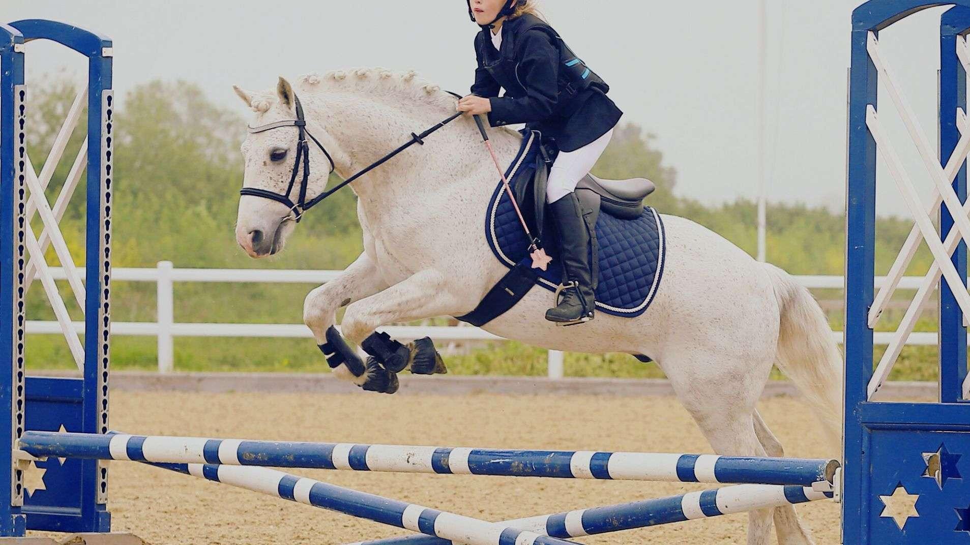 Un concours de saut d'obstacles à Saint-Martin-de-Crau : "Il y a une recherche d'adrénaline chez les enfants"