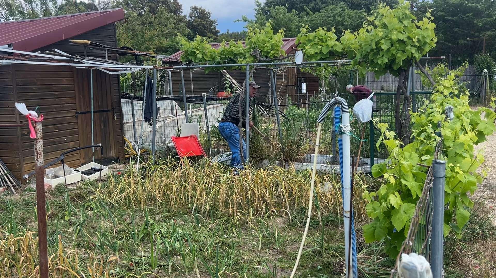 Miramas : les jardins partagés, graine de lien et d'écologie