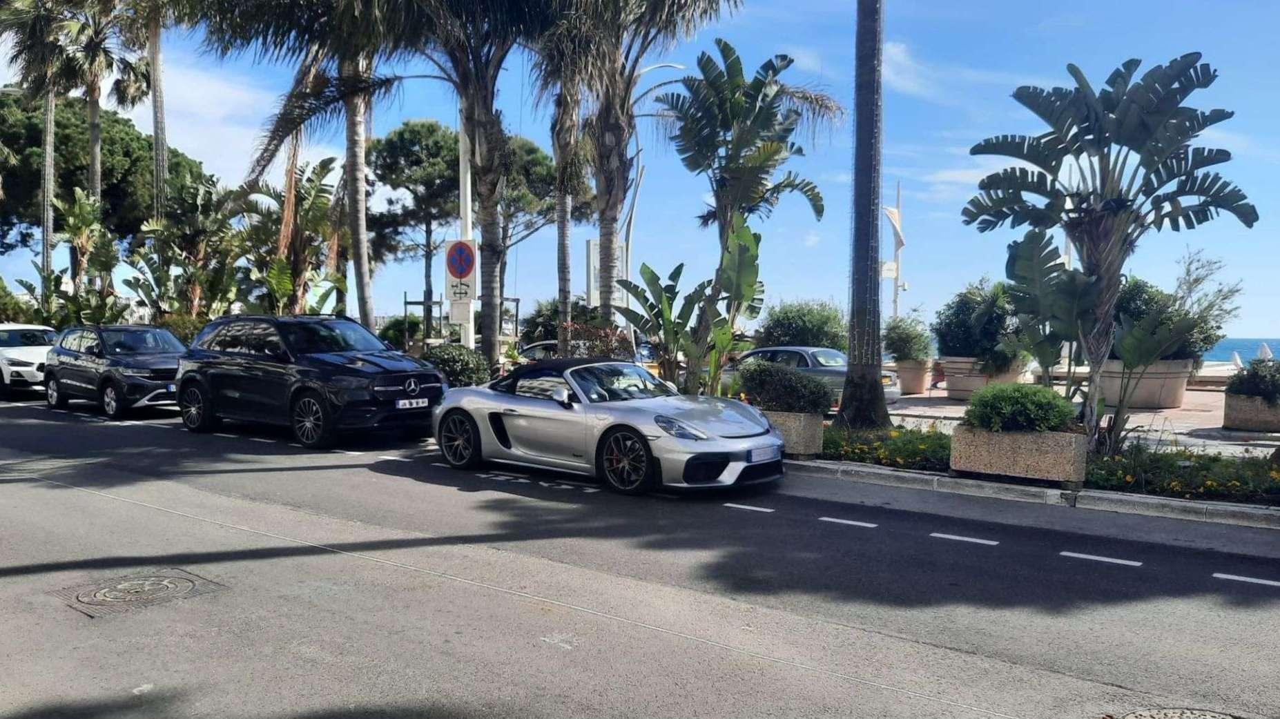 Cannes : un homme "gravement blessé" sur la Croisette par la chute d'un palmier