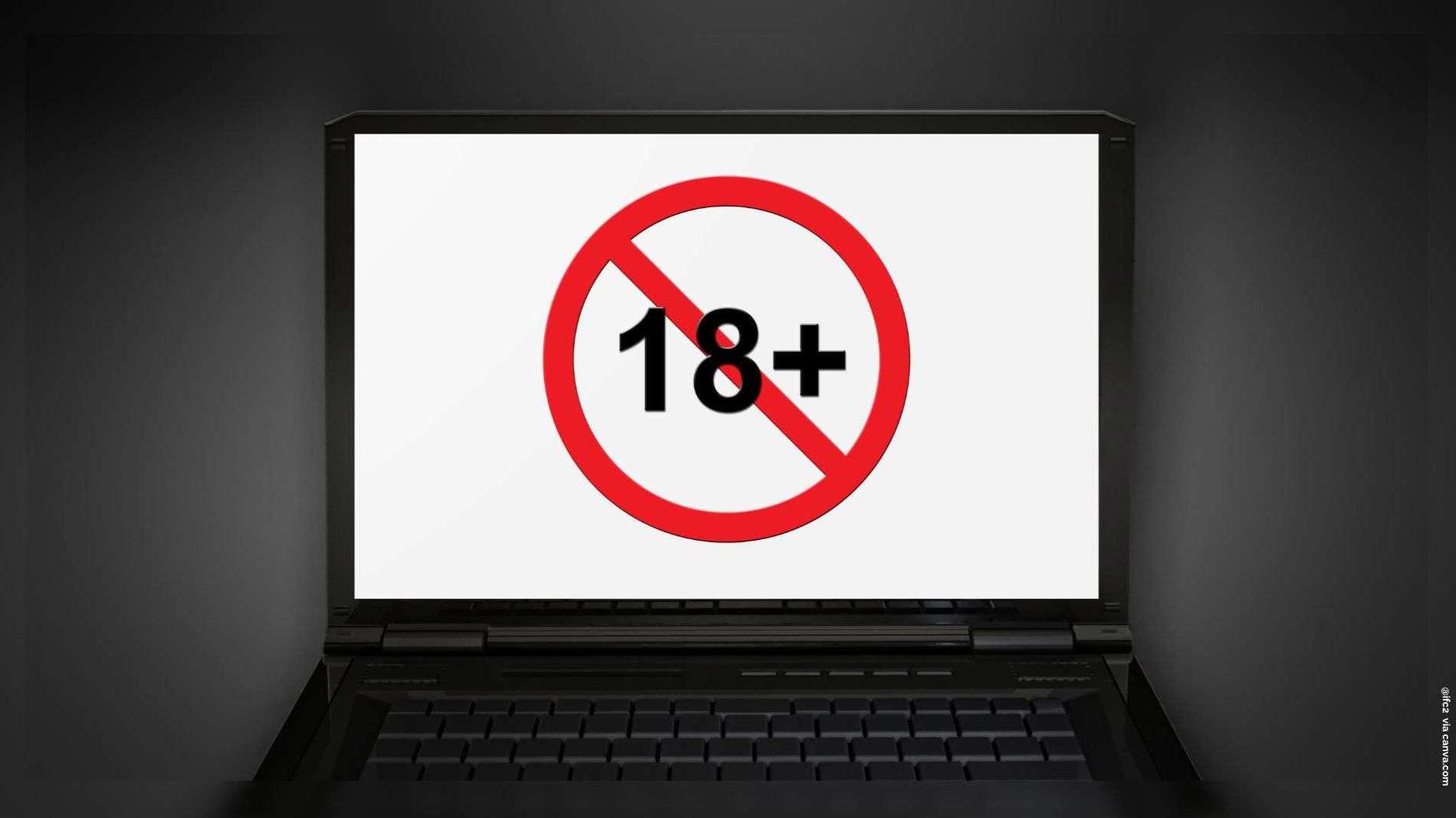 Protection des mineurs : l'UE ouvre une enquête contre quatre plateformes pornographiques