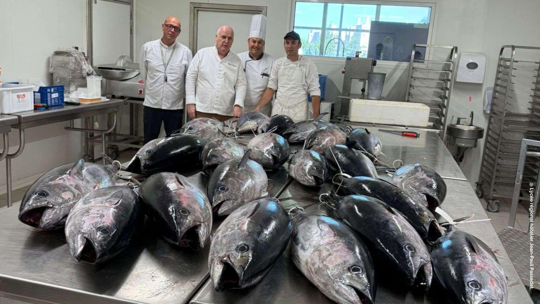 385 kilos de thons rouges saisis et remis au lycée hôtelier Passedat à Marseille 