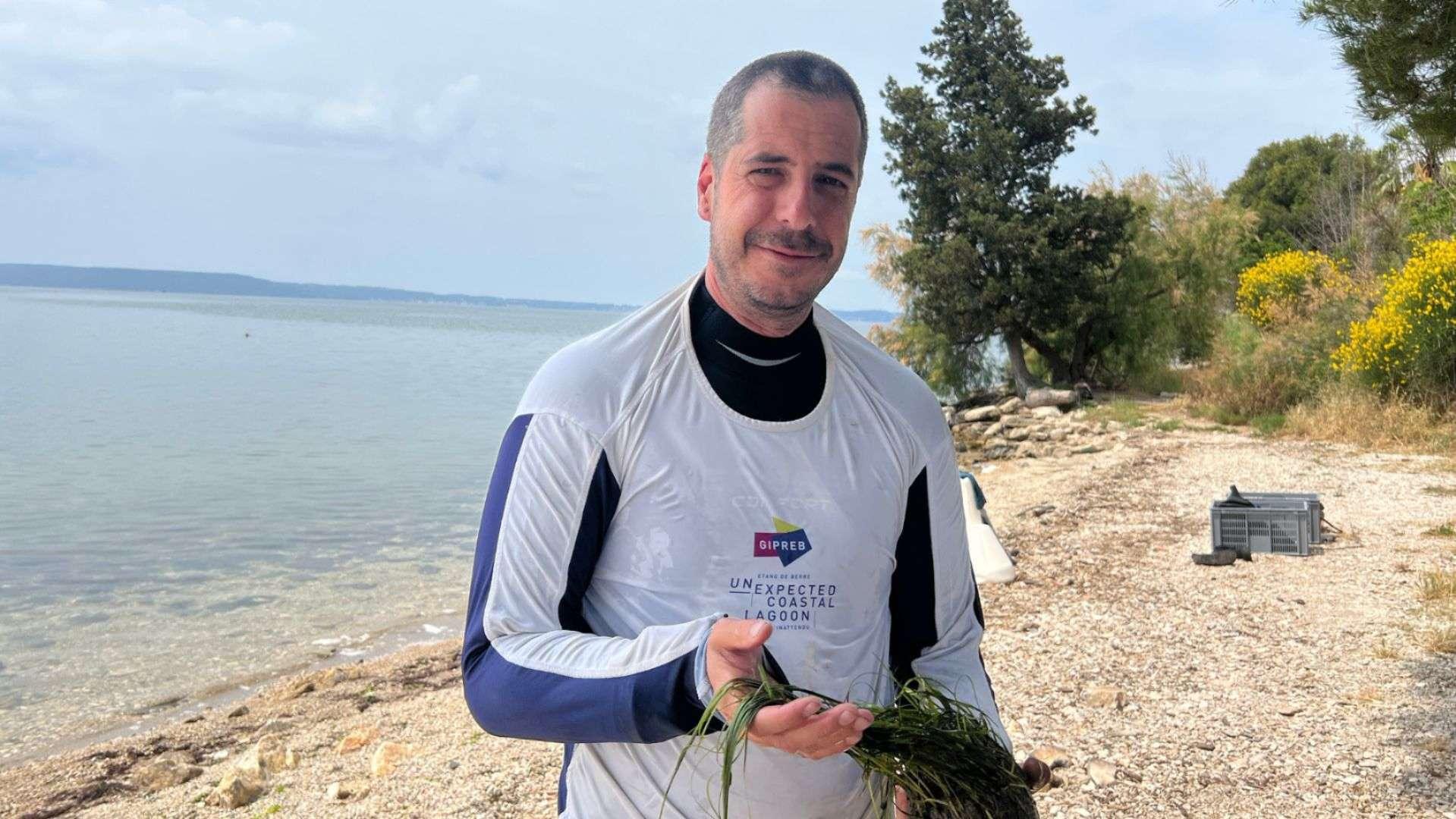 Étang de Berre : "Les herbiers de zostères sont de véritables poumons de la lagune"
