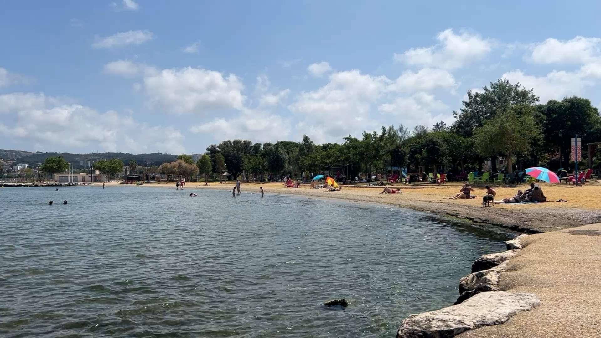 Baignade ou pas baignade : comment est analysée l'eau de l'Étang de Berre ? 