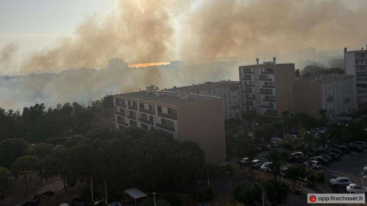 Important feu de végétation à Port-de-Bouc