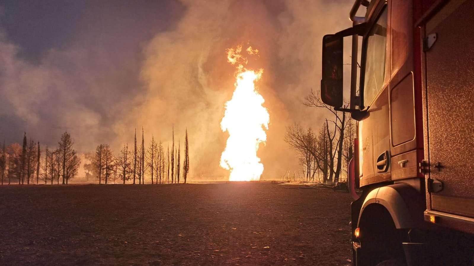 Saint-Martin-de-Crau: nuit d’angoisse dans une écurie, 35 chevaux échappés