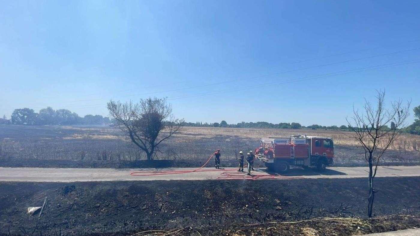 Istres : départ de feu à Entressen, 2 hectares de végétation ont brulé