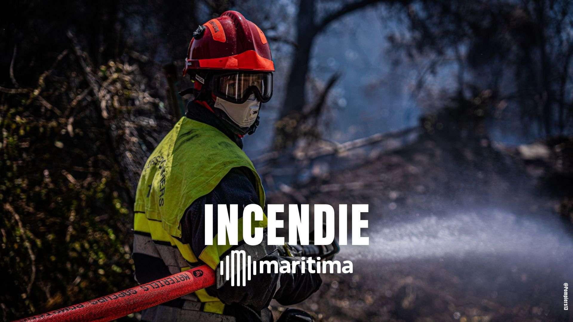 Un feu de végétation à Berre-l'Etang