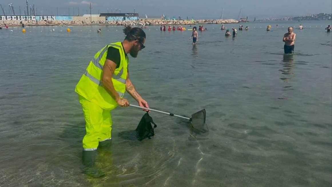 Les pied dans l'eau pour nettoyer les plages de Marseille