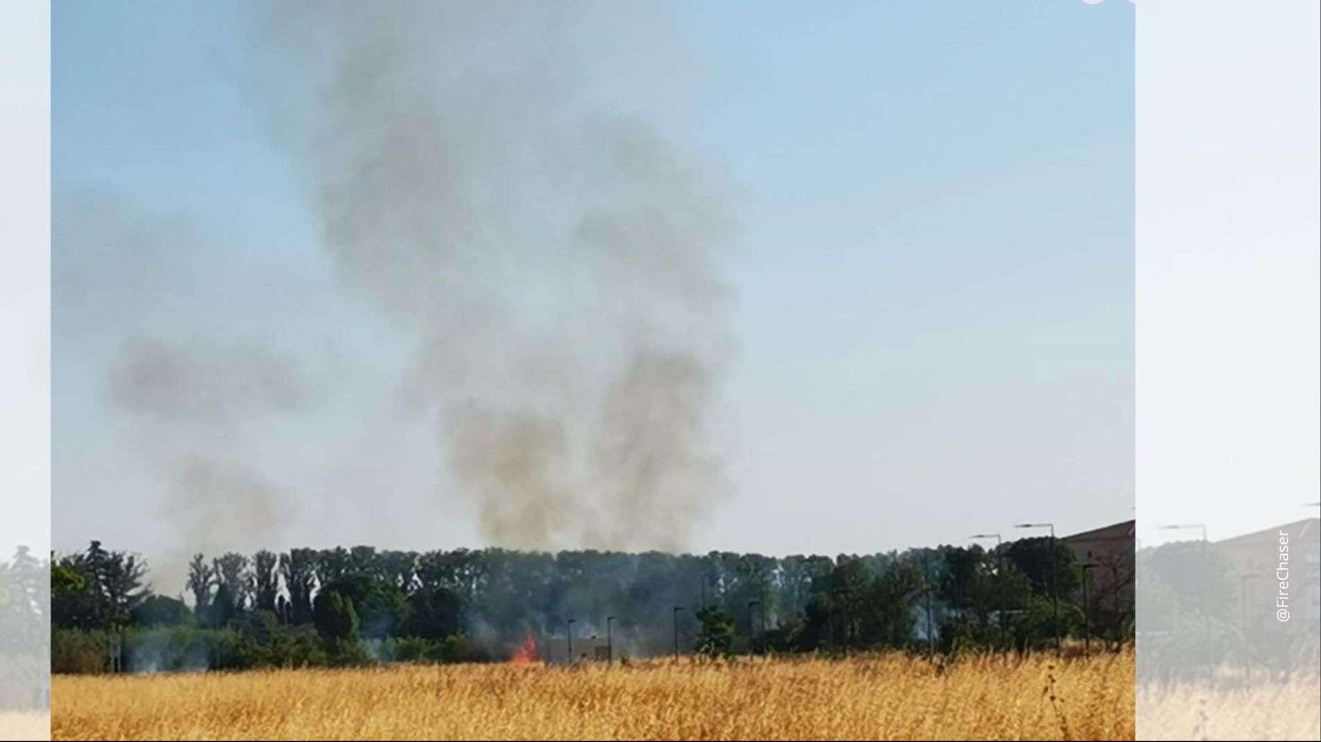 Un départ de feu de végétation à Miramas