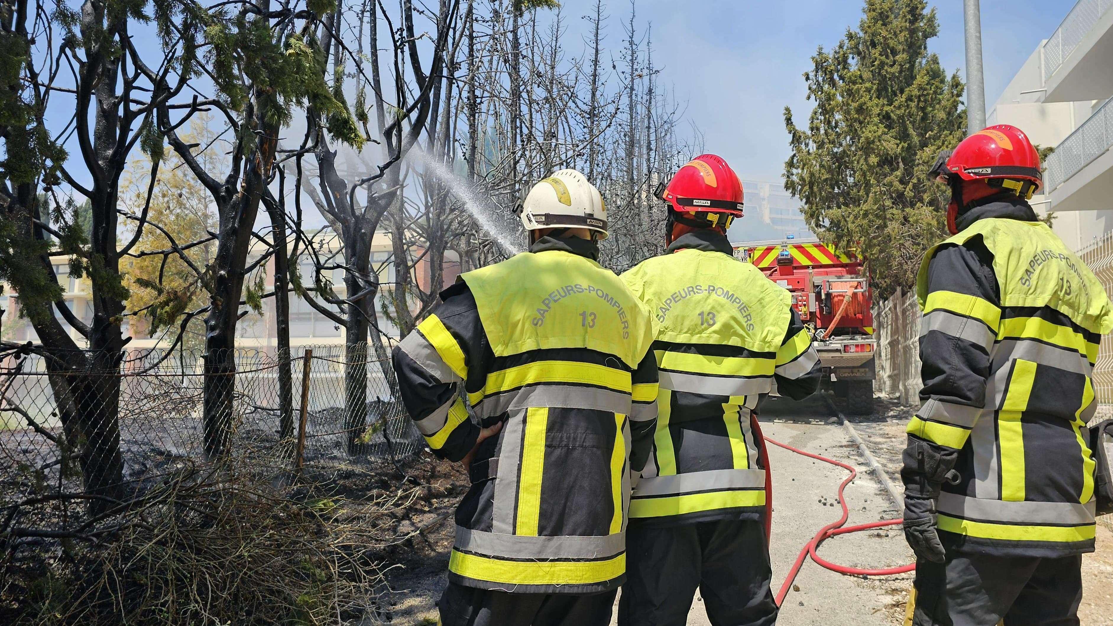 Martigues: des arbres ont brûlé à proximité du groupe scolaire Paul Di Lorto