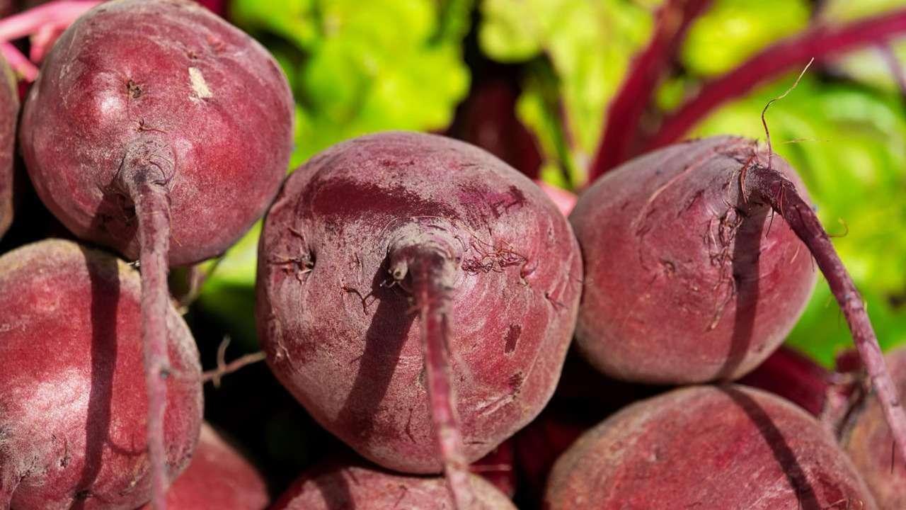 Censure de l'acétamipride: les betteraviers demandent des "mesures de sauvegarde"