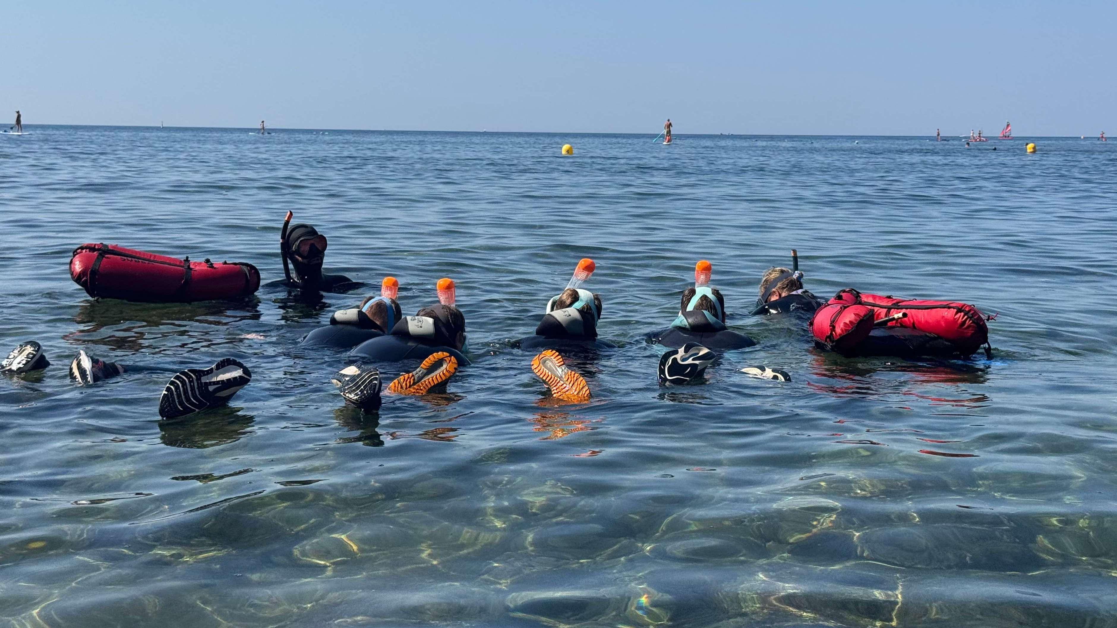 Carry-le-Rouet : le Parc Marin fait découvrir la biodiversité de la calanque du Cap Rousset 
