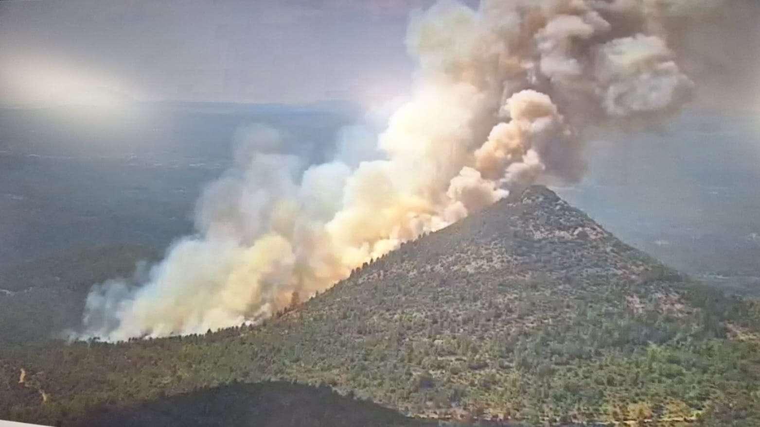 Incendie dans le Var : le feu fixé après avoir ravagé 130 hectares