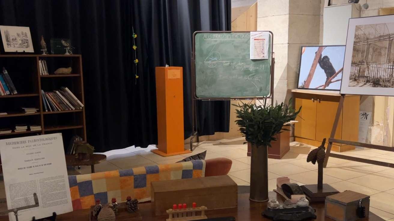 Escape Game : enquêtez pour retrouver l'animal mystère