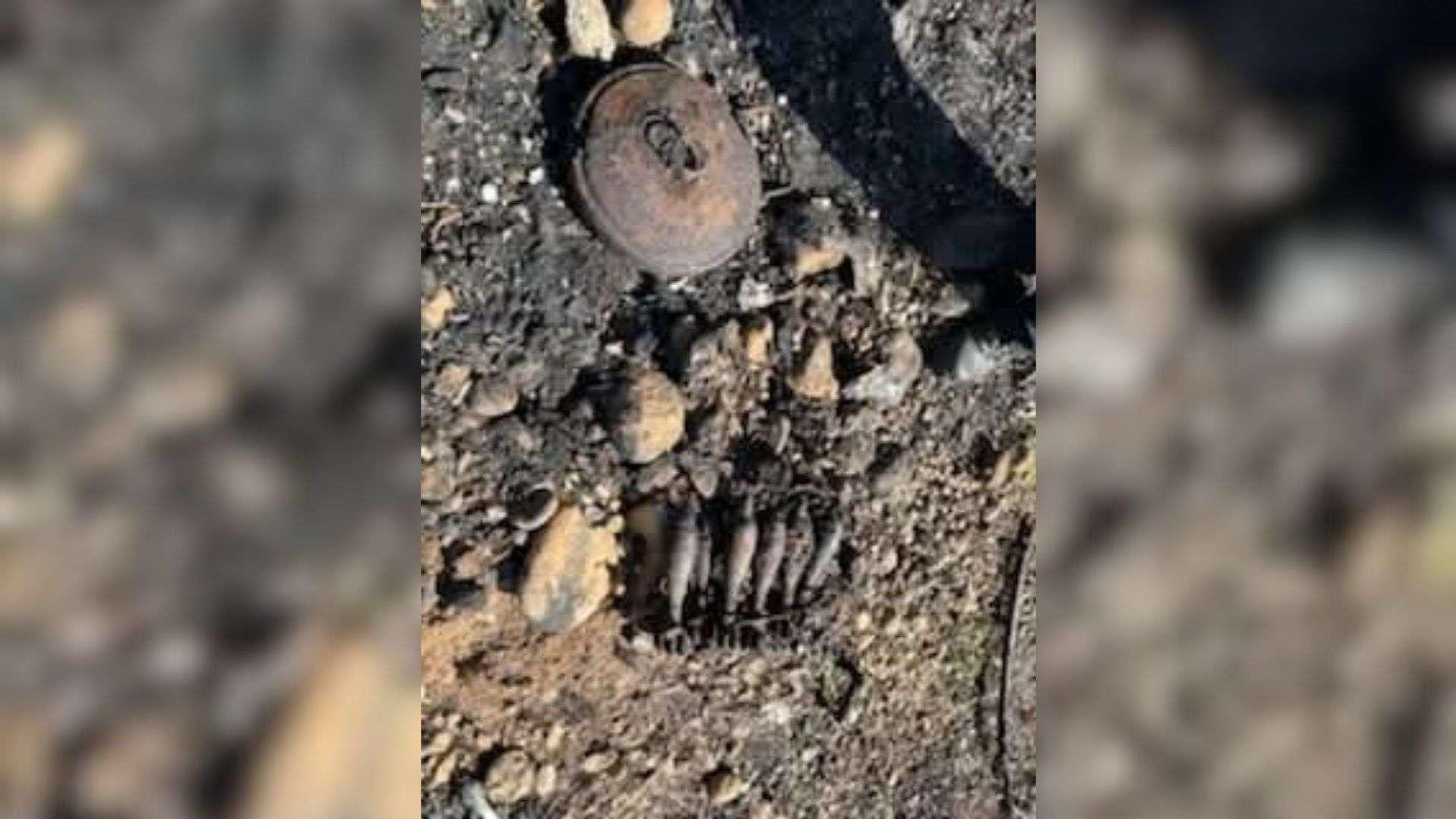 Miramas : une opération de déminage après la découverte d'obus de mortier