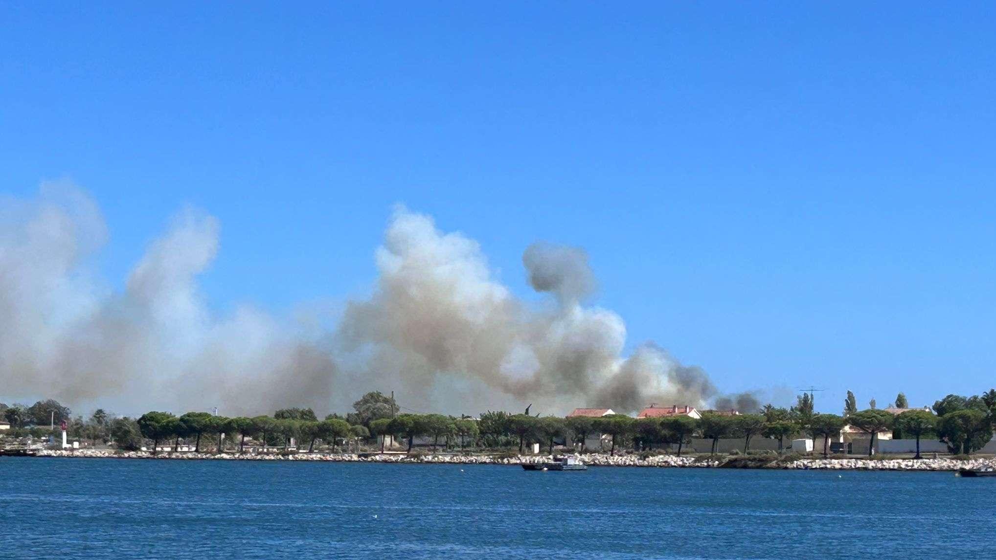 Incendie en cours à Port-Saint-Louis : 20 pompiers mobilisés sur un feu de végétation 