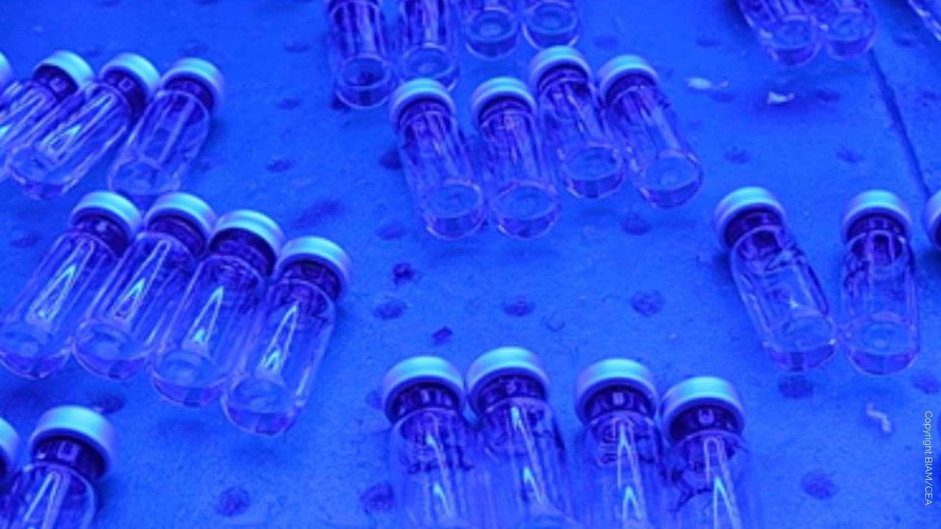 Institut de biosciences et biotechnologies d'Aix/Marseille : des résultats positifs dans la quête d'une chimie verte et d'un carburant durable